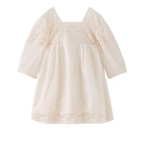 Zara Embroidered Tulle Dress